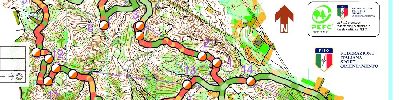 ARGE-Alp Individual